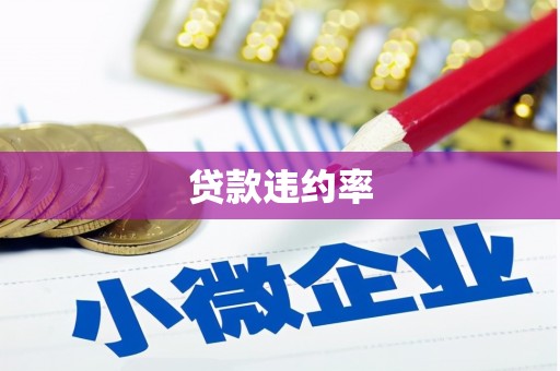 荔湾贷款违约率