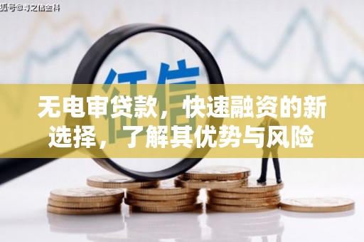 荔湾无电审贷款，快速融资的新选择，了解其优势与风险