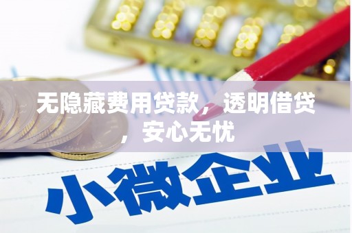 荔湾无隐藏费用贷款，透明借贷，安心无忧