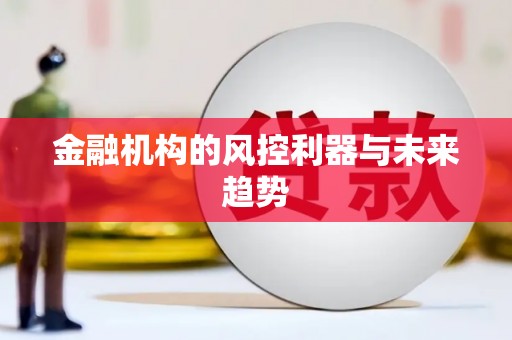 荔湾金融机构的风控利器与未来趋势