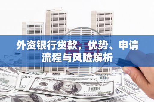 荔湾外资银行贷款，优势、申请流程与风险解析