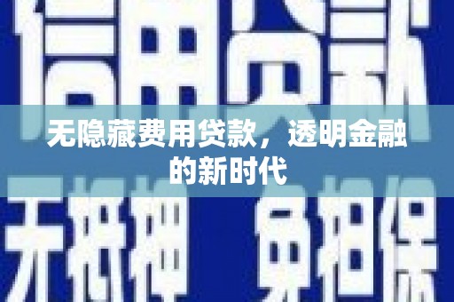 荔湾无隐藏费用贷款，透明金融的新时代