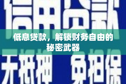 荔湾低息贷款，解锁财务自由的秘密武器