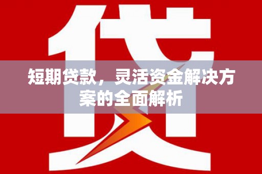 荔湾短期贷款，灵活资金解决方案的全面解析
