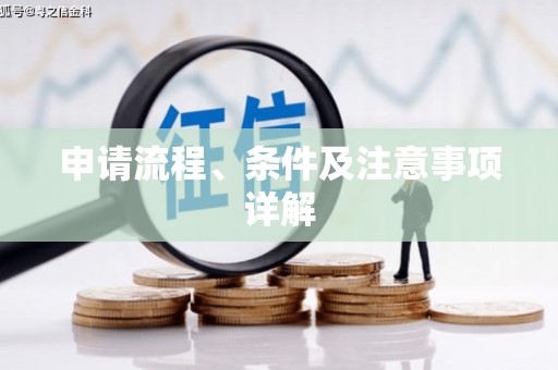 荔湾申请流程、条件及注意事项详解