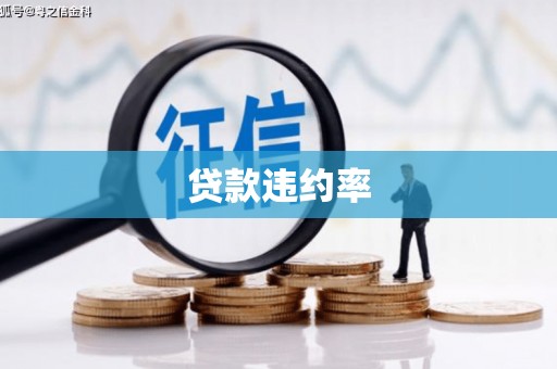 荔湾贷款违约率