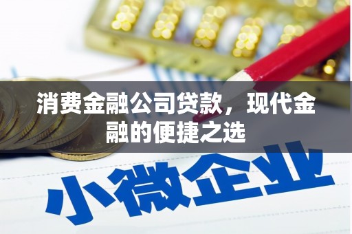 荔湾消费金融公司贷款，现代金融的便捷之选