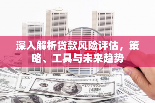 荔湾深入解析贷款风险评估，策略、工具与未来趋势
