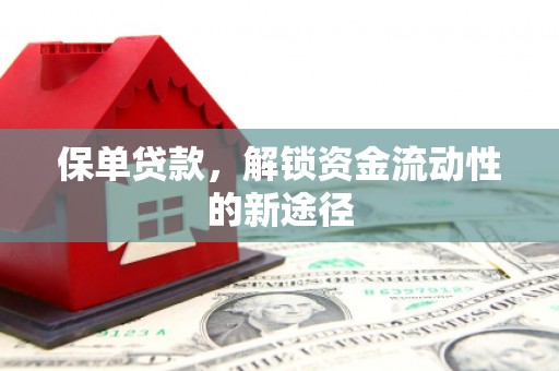 荔湾保单贷款，解锁资金流动性的新途径