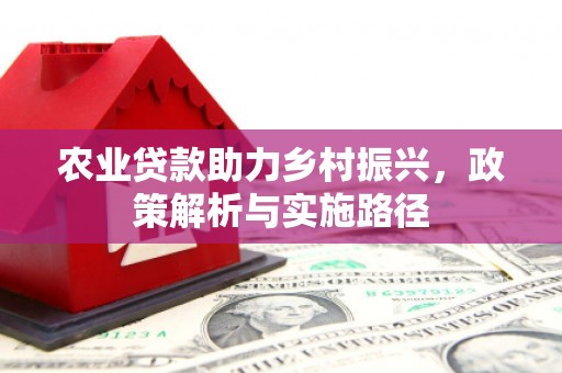 荔湾农业贷款助力乡村振兴，政策解析与实施路径