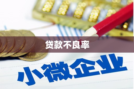 荔湾贷款不良率