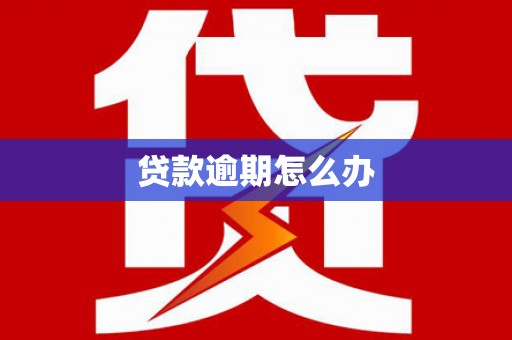 荔湾贷款逾期怎么办