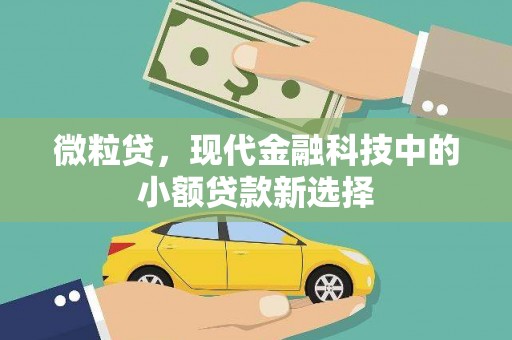 荔湾微粒贷，现代金融科技中的小额贷款新选择