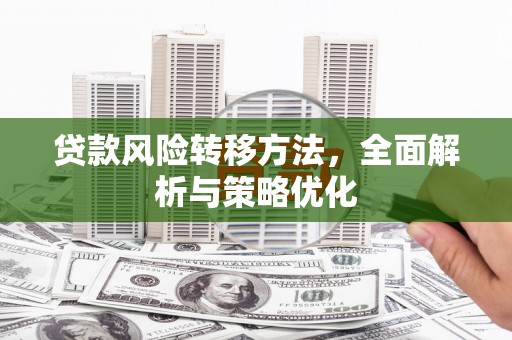 荔湾贷款风险转移方法，全面解析与策略优化