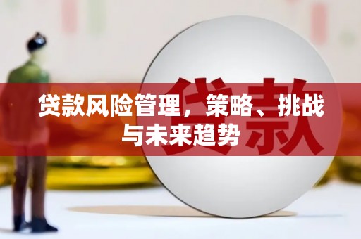 荔湾贷款风险管理，策略、挑战与未来趋势