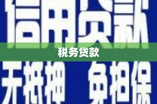 荔湾税务贷款
