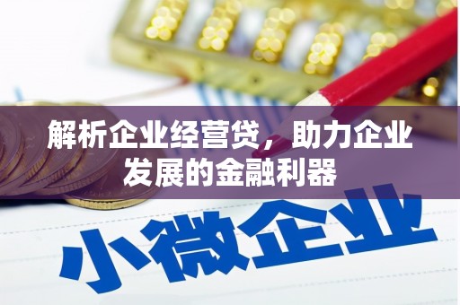 荔湾解析企业经营贷，助力企业发展的金融利器