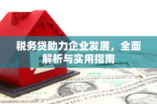荔湾税务贷助力企业发展，全面解析与实用指南