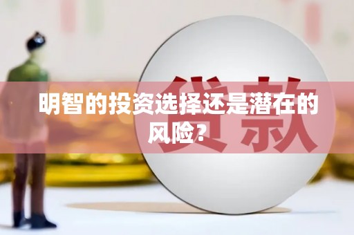 荔湾明智的投资选择还是潜在的风险？