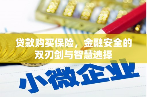 荔湾贷款购买保险，金融安全的双刃剑与智慧选择