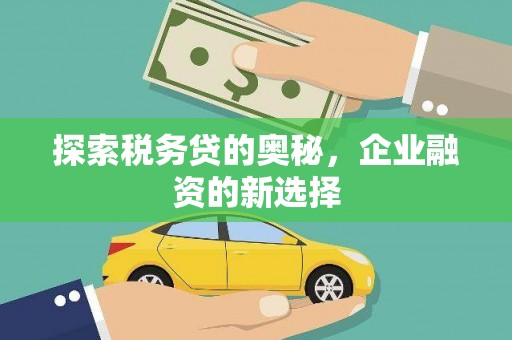 荔湾探索税务贷的奥秘，企业融资的新选择