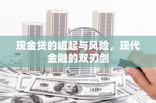 荔湾现金贷的崛起与风险，现代金融的双刃剑