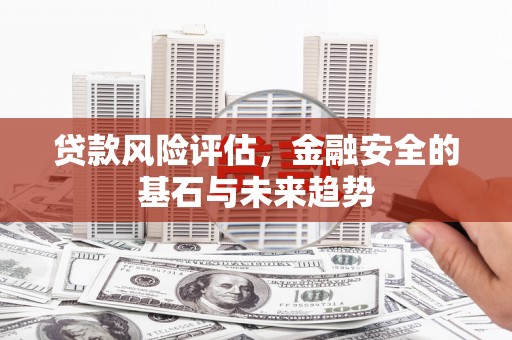 荔湾贷款风险评估，金融安全的基石与未来趋势