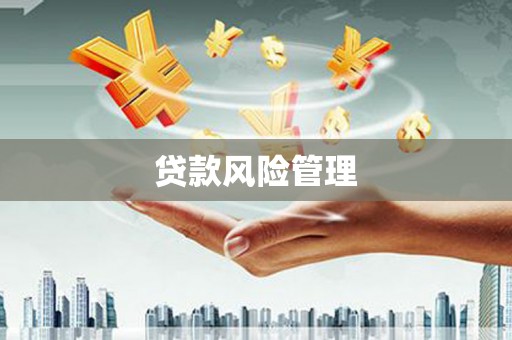 荔湾贷款风险管理