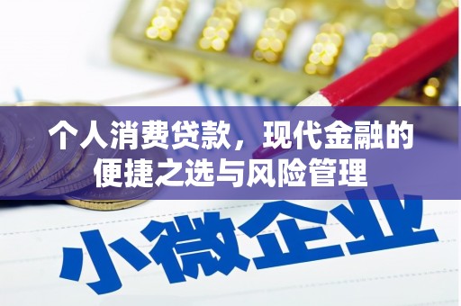 荔湾个人消费贷款，现代金融的便捷之选与风险管理
