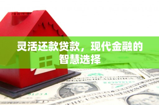 荔湾灵活还款贷款，现代金融的智慧选择