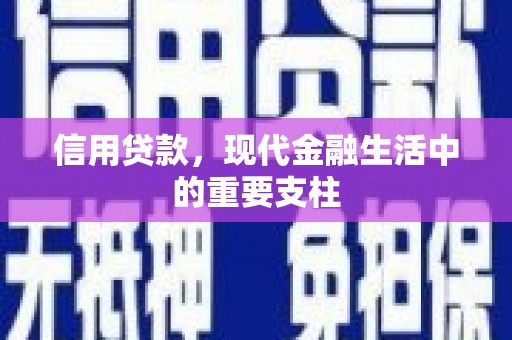 荔湾信用贷款，现代金融生活中的重要支柱