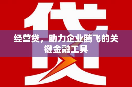 荔湾经营贷，助力企业腾飞的关键金融工具