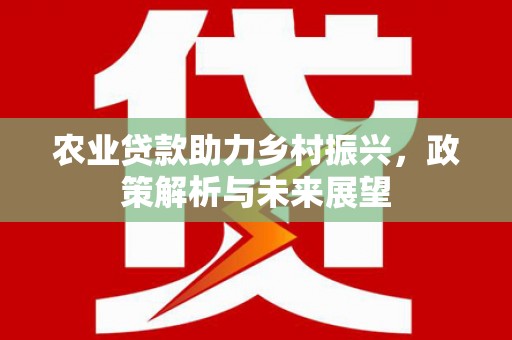 荔湾农业贷款助力乡村振兴，政策解析与未来展望