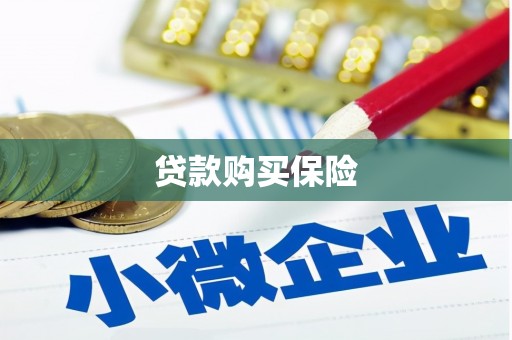 荔湾贷款购买保险