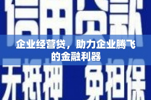 荔湾企业经营贷，助力企业腾飞的金融利器