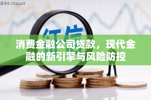 荔湾消费金融公司贷款，现代金融的新引擎与风险防控