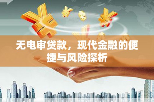 荔湾无电审贷款，现代金融的便捷与风险探析