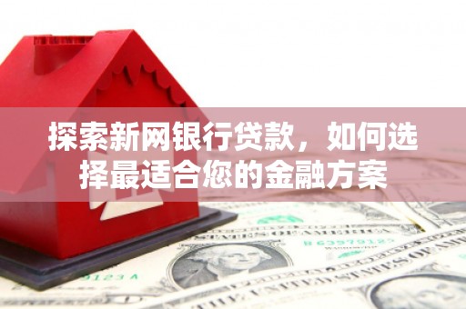 荔湾探索新网银行贷款，如何选择最适合您的金融方案