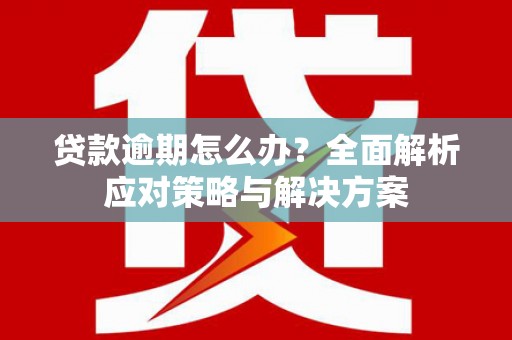 荔湾贷款逾期怎么办？全面解析应对策略与解决方案