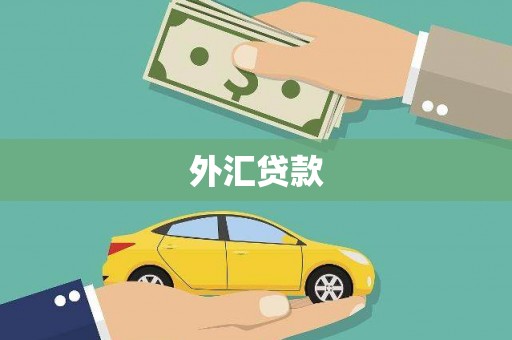 荔湾外汇贷款