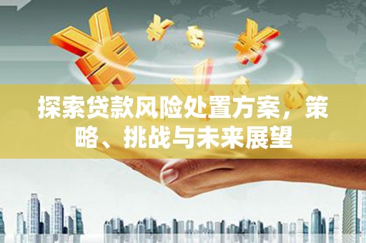 荔湾探索贷款风险处置方案，策略、挑战与未来展望