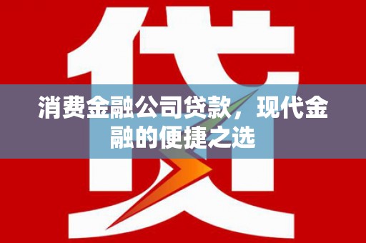 荔湾消费金融公司贷款，现代金融的便捷之选