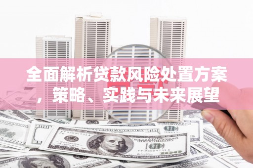 荔湾全面解析贷款风险处置方案，策略、实践与未来展望
