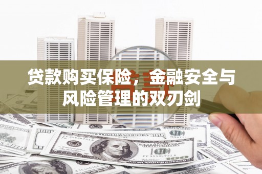 荔湾贷款购买保险，金融安全与风险管理的双刃剑