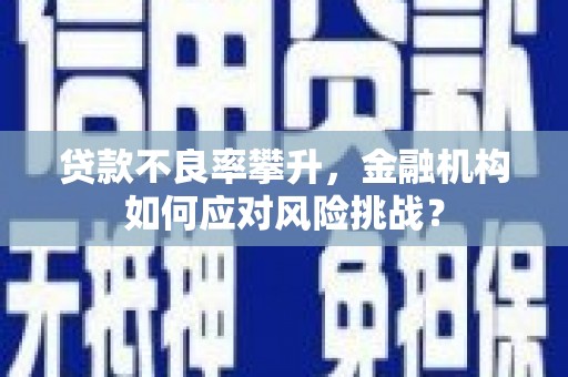 荔湾贷款不良率攀升，金融机构如何应对风险挑战？