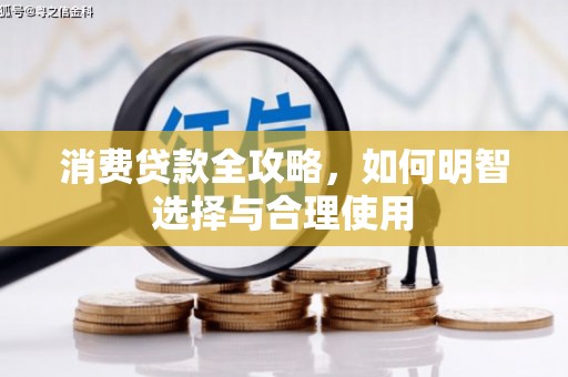 荔湾消费贷款全攻略，如何明智选择与合理使用