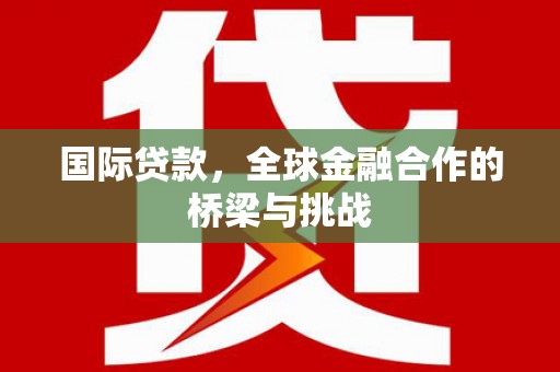 荔湾国际贷款，全球金融合作的桥梁与挑战