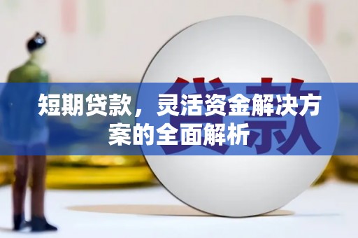荔湾短期贷款，灵活资金解决方案的全面解析