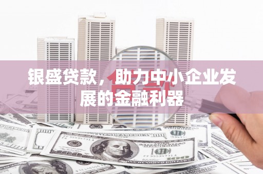 荔湾银盛贷款，助力中小企业发展的金融利器