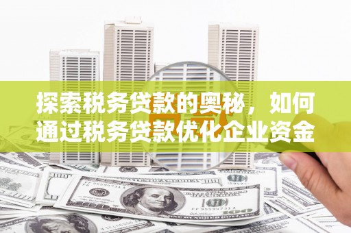 荔湾探索税务贷款的奥秘，如何通过税务贷款优化企业资金流